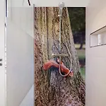 Apartment Ostseerauschen Hohwacht